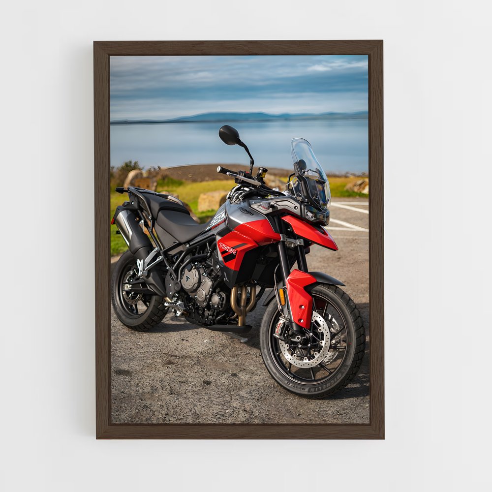 Poster Route du Tigre – affiche Triumph (vue 5)
